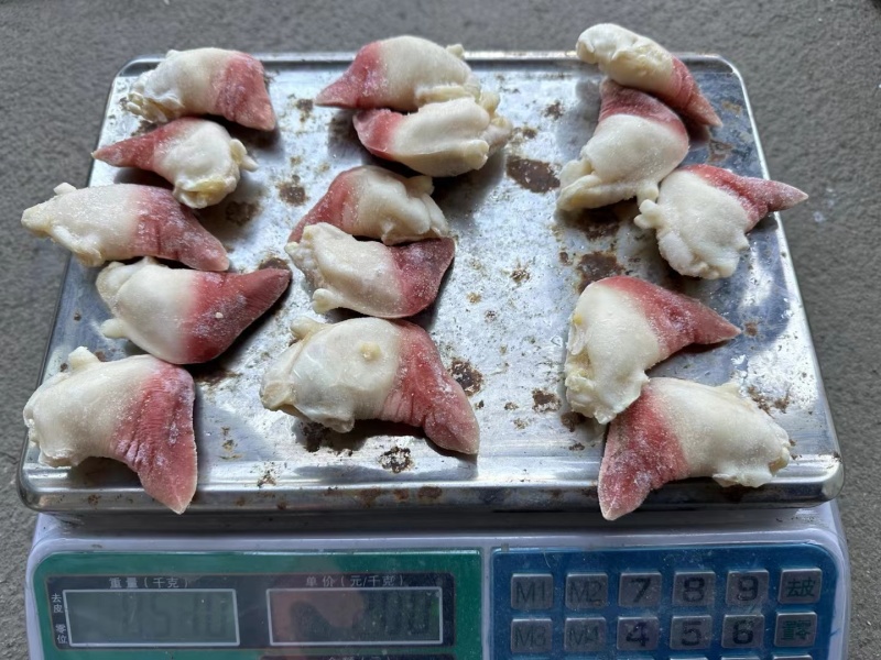 北极贝，适合日料刺身