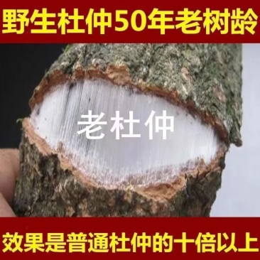 杜仲，30年的深山杜仲树，肉厚质量好，用途之广。