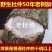 杜仲，30年的深山杜仲树，肉厚质量好，用途之广。
