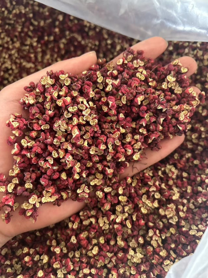 正宗茂汶花椒