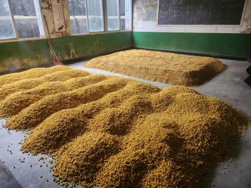 白酒清香型白酒自己工厂纯粮食酿造