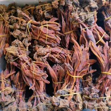回春草干货颜色好量大议价一手货源基地直发