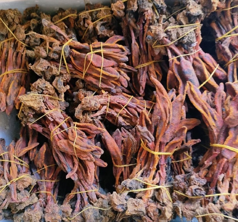 回春草干货颜色好量大议价一手货源基地直发