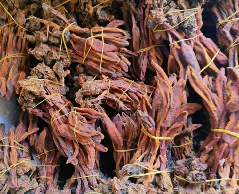 回春草干货颜色好量大议价一手货源基地直发