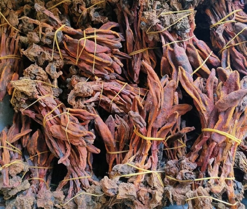 回春草干货颜色好量大议价一手货源基地直发