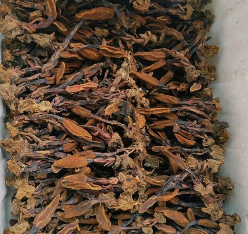 回春草干货颜色好量大议价一手货源基地直发