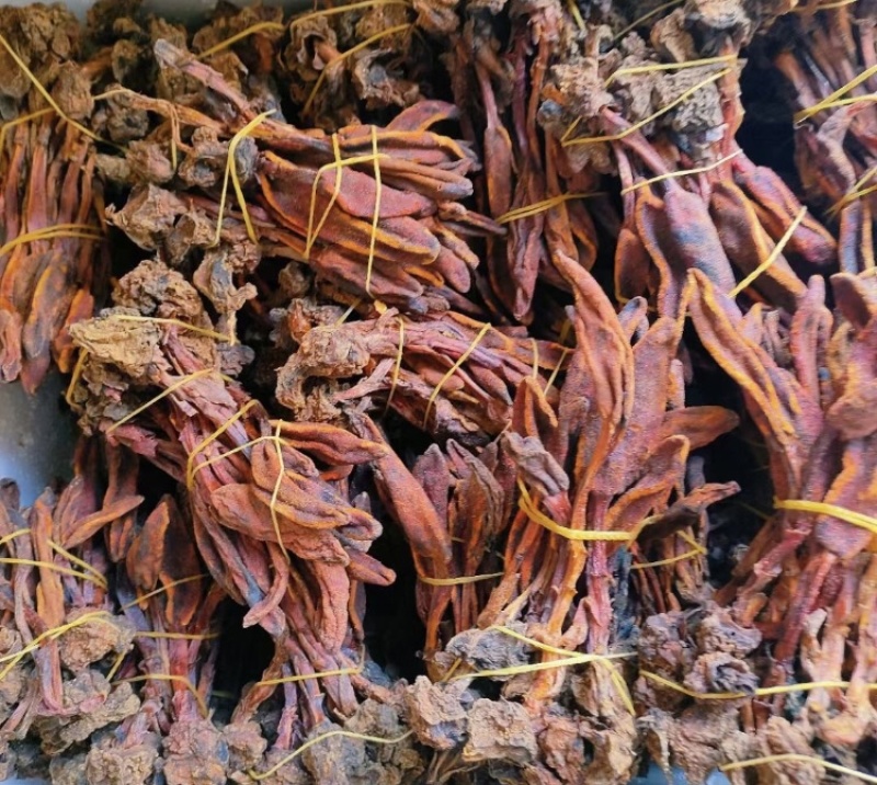 回春草干货颜色好量大议价一手货源基地直发