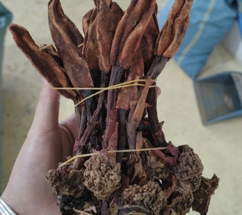 回春草干货颜色好量大议价一手货源基地直发