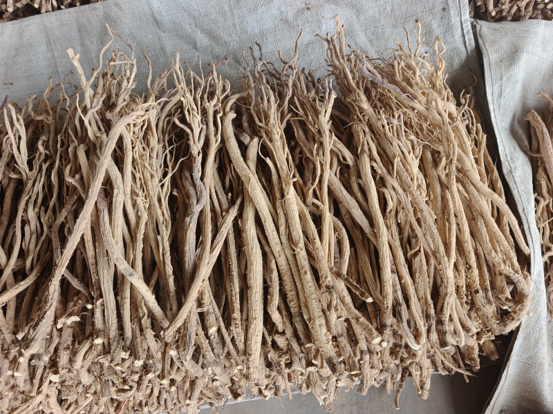 甘肃防风精品去头货，产地直发，质量有保障