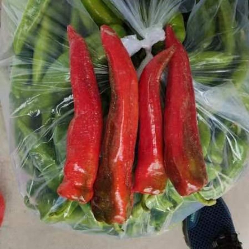 江苏淮安红辣椒，质量保证，万亩基地，实力代办，咨询优惠
