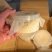 黑水虻孵化虫卵