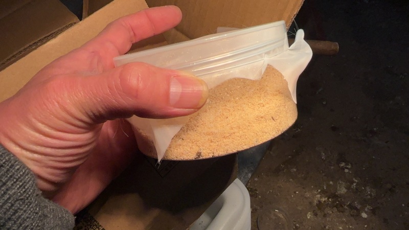 黑水虻孵化虫卵