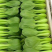 江苏精品小青菜，量大质量保证，新鲜采摘，视频实地看货