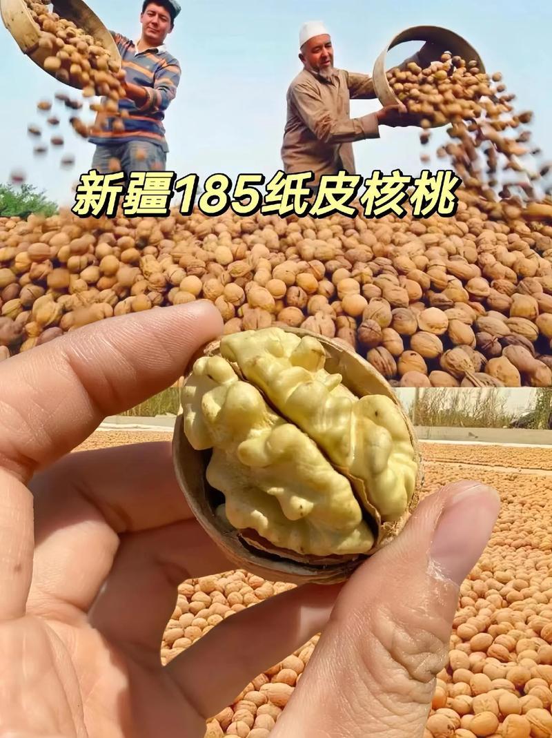 新货新疆185纸皮核桃薄皮生核批发整箱手捏纸皮核桃