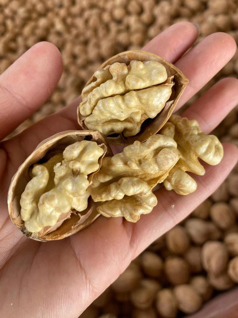 新货新疆185纸皮核桃薄皮生核批发整箱手捏纸皮核桃
