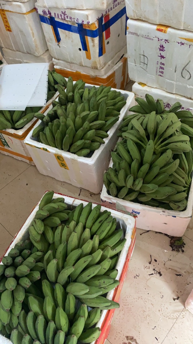 广西土芭蕉牛角蕉纯甜糯口