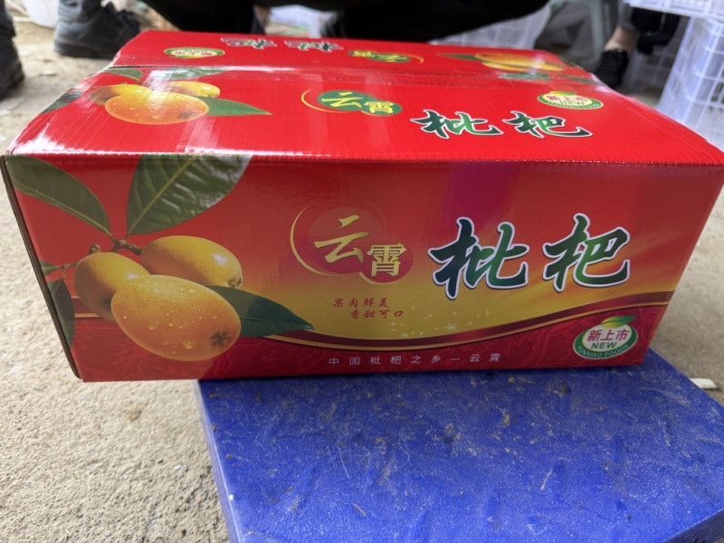 云霄枇杷