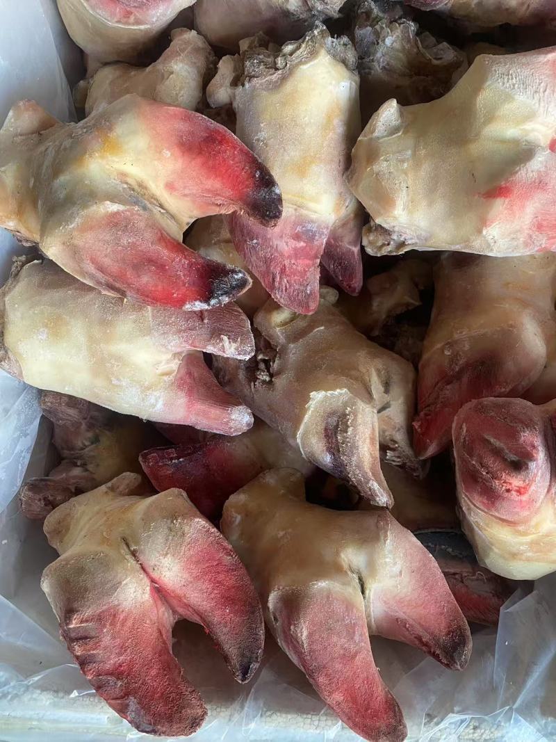 牛蹄刀削去皮精修无毛牛中蹄品质保证价格低新鲜