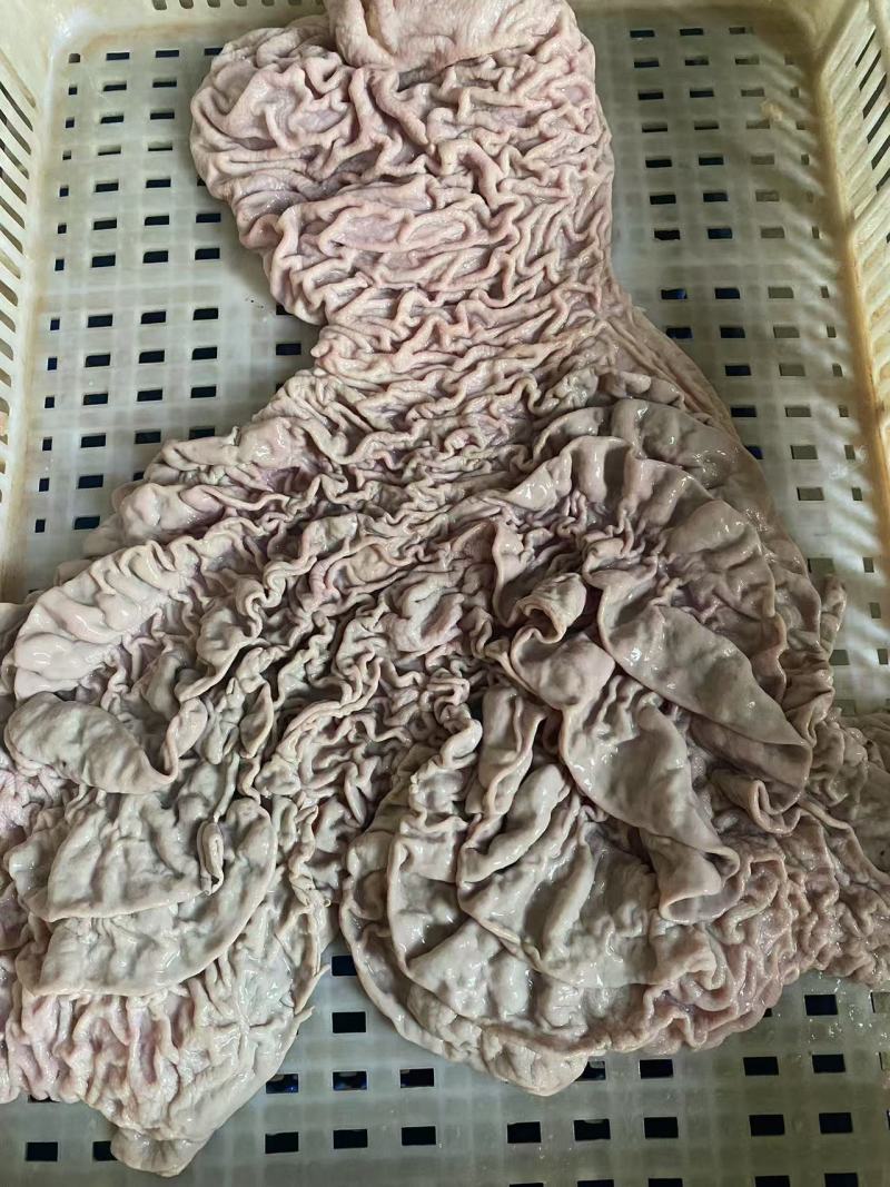 牛伞肚，沙瓜肚，本地新鲜焯水半熟。自有屠场每天鲜货
