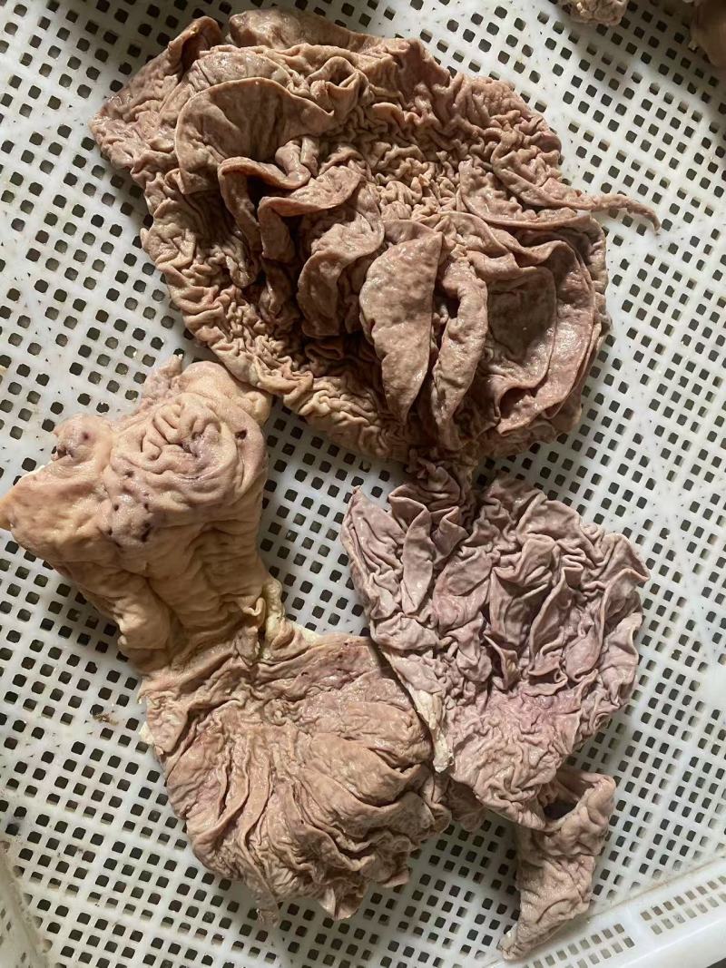 牛伞肚，沙瓜肚，本地新鲜焯水半熟。自有屠场每天鲜货