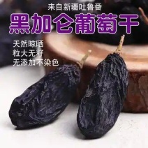新疆黑加仑葡萄干吐鲁番免洗黑加仑葡萄干