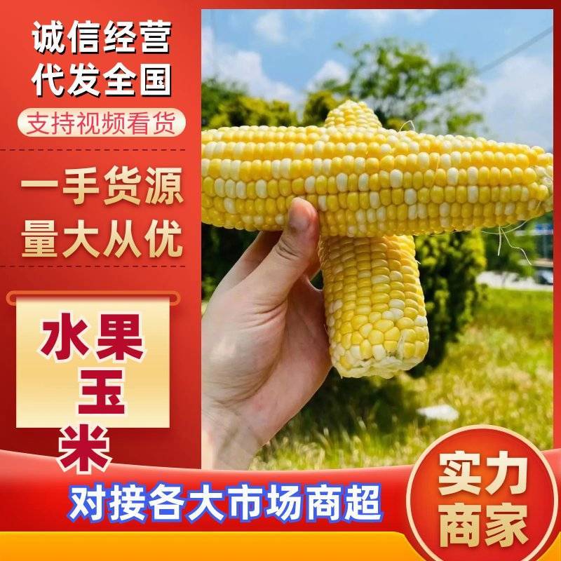 【优质商家】水果玉米。产地一手货源安徽