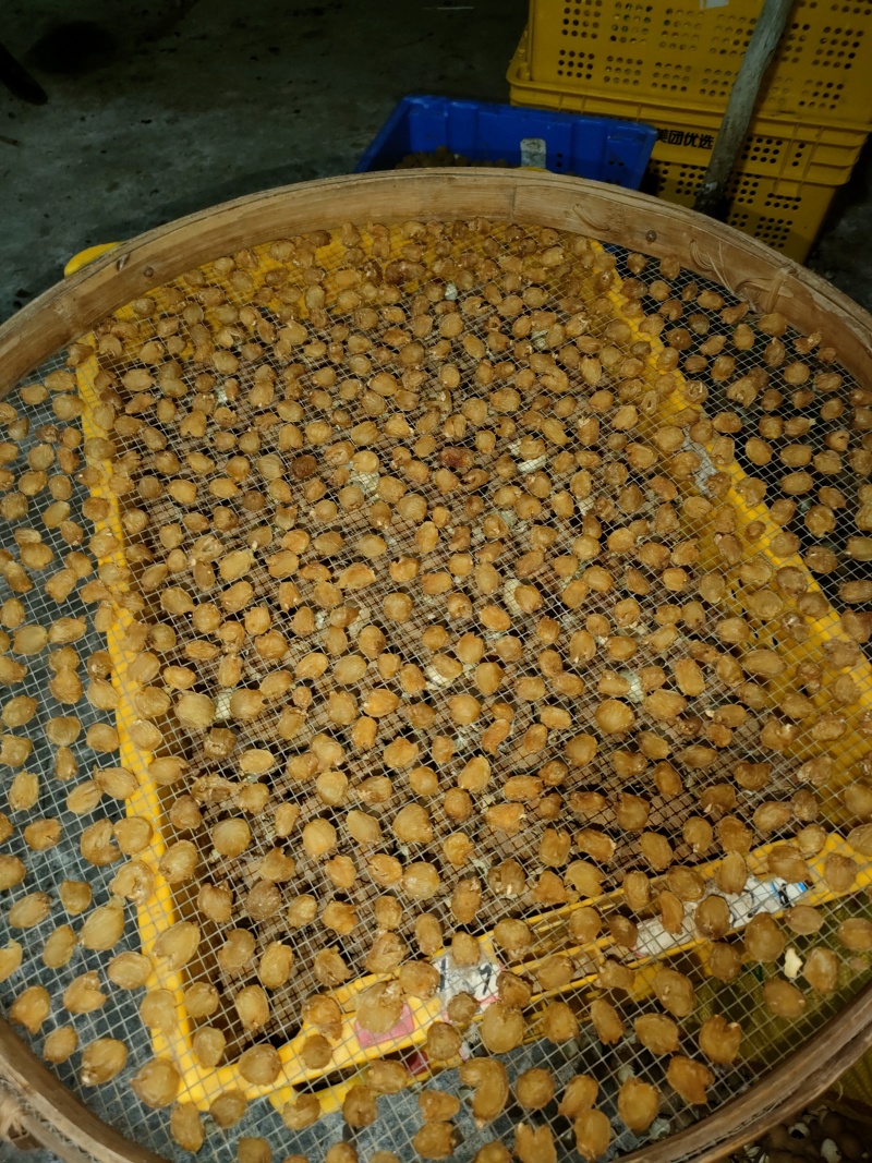 桂圆肉。