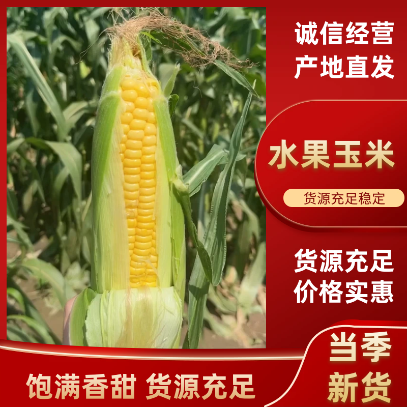 【优质商家】水果玉米。产地一手货源安徽