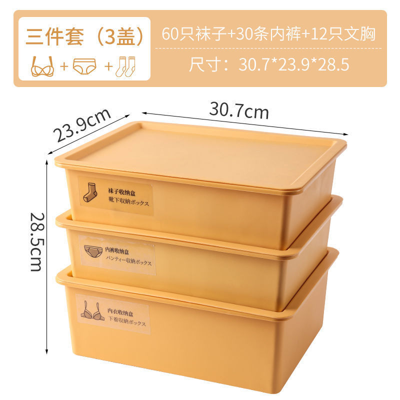 内衣收纳盒塑料放内裤袜子文胸分格整理箱宿舍收纳神器三