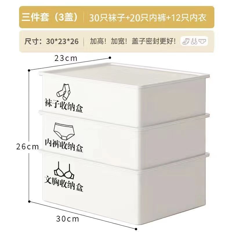 内衣收纳盒塑料放内裤袜子文胸分格整理箱宿舍收纳神器三