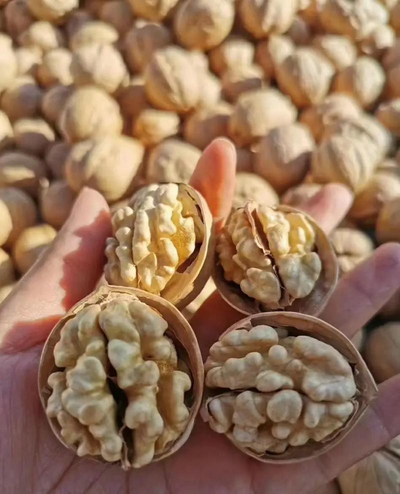 新货新疆185纸皮核桃薄皮生核批发整箱手捏纸皮核桃