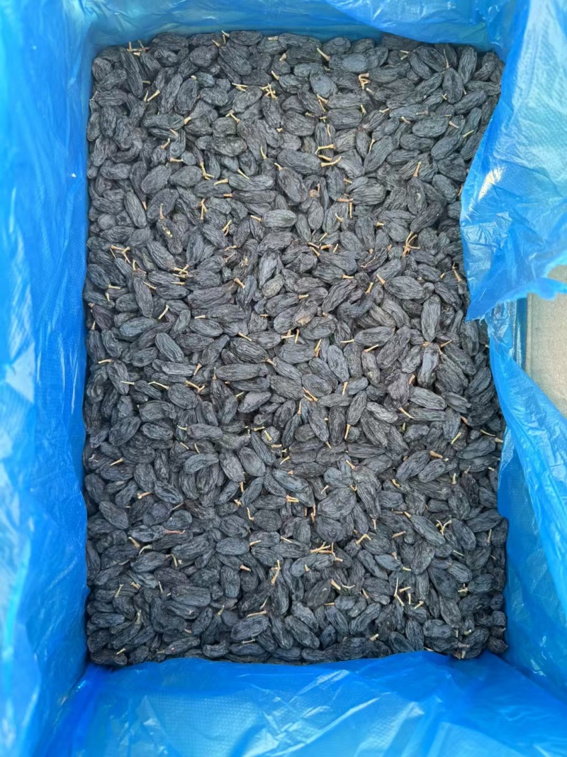 新疆黑加仑葡萄干吐鲁番免洗黑加仑葡萄干