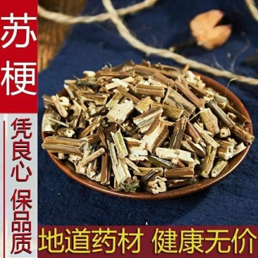 紫苏梗中药材苏梗精选无硫紫苏梗干正宗新货紫苏梗中药材