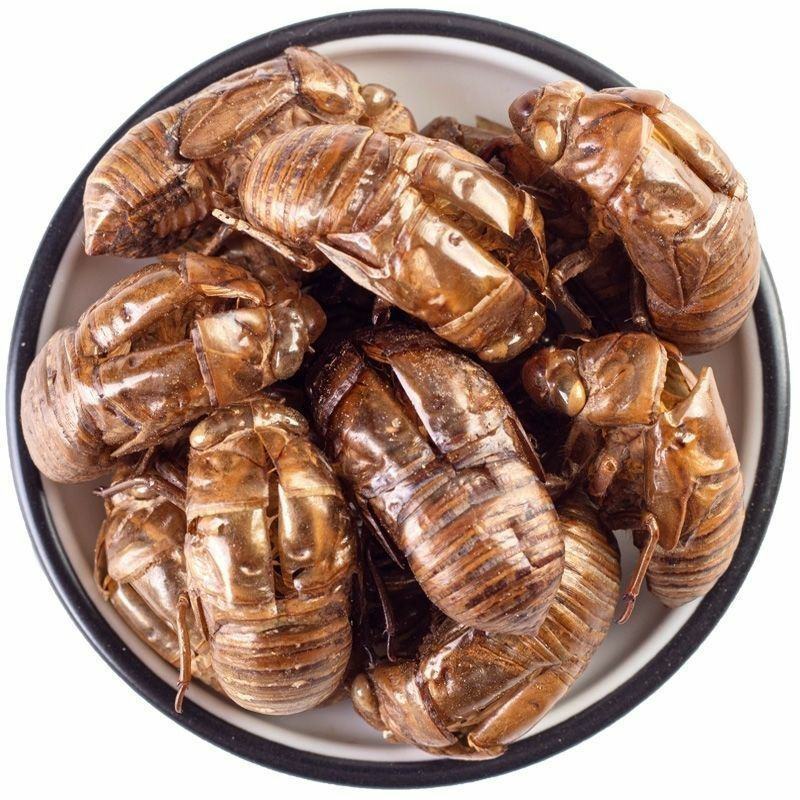 中药材蝉蜕知了皮大别山金蝉衣蝉壳虫包邮蜕虫退爬了猴壳金蝉