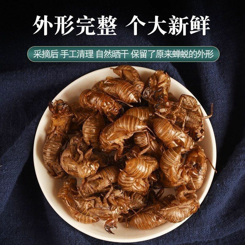 中药材蝉蜕知了皮大别山金蝉衣蝉壳虫包邮蜕虫退爬了猴壳金蝉