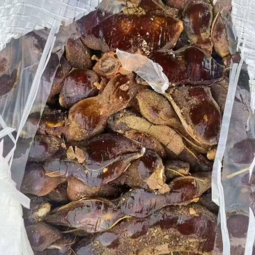 缅甸酸角(脱壳)