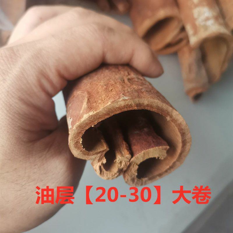 正宗油桂高山紫油桂广西肉桂清化油桂批发桂皮调料香料招财煮