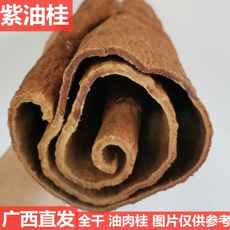 正宗油桂高山紫油桂广西肉桂清化油桂批发桂皮调料香料招财煮