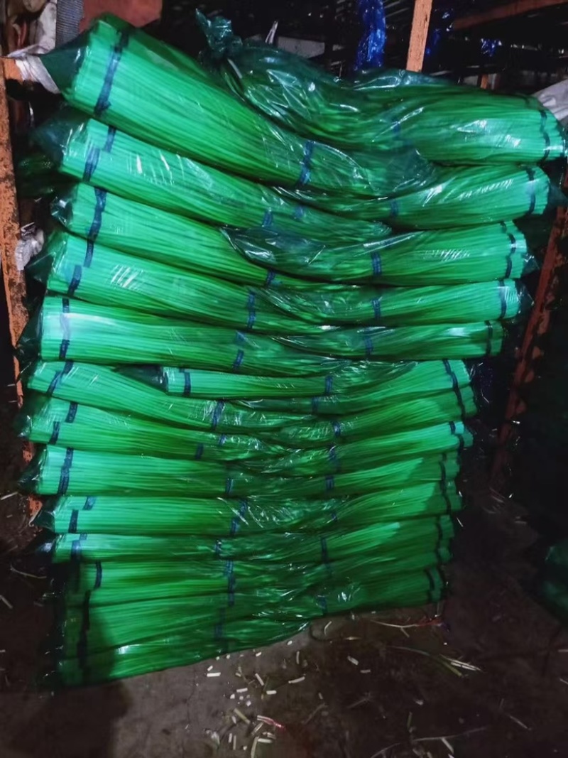 徐州丰县白帽蒜苔白帽蒜薹上货量大位置优越挑拣收货