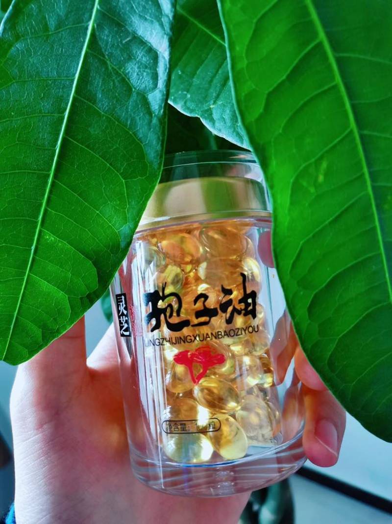 灵芝孢子粉灵芝孢子油品种都有供应齐全量大从优