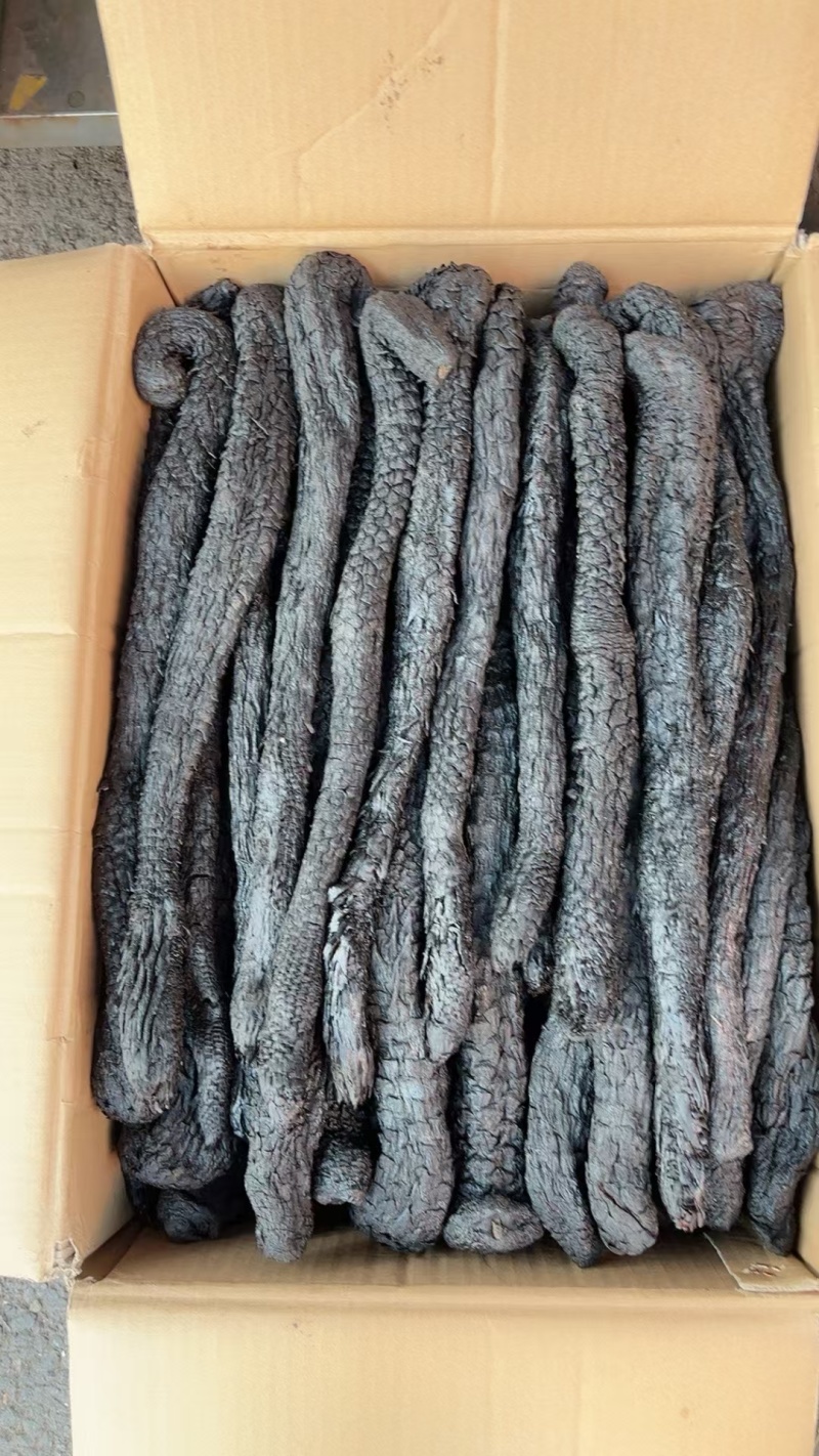 精品荒漠肉苁蓉种植原厂，全国包邮，量大从优。有鉴定报告。