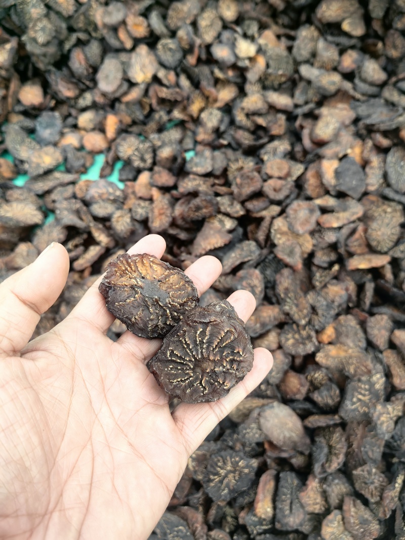 精选荒漠肉苁蓉，原厂直发，长期供货，全国包邮。价格实惠