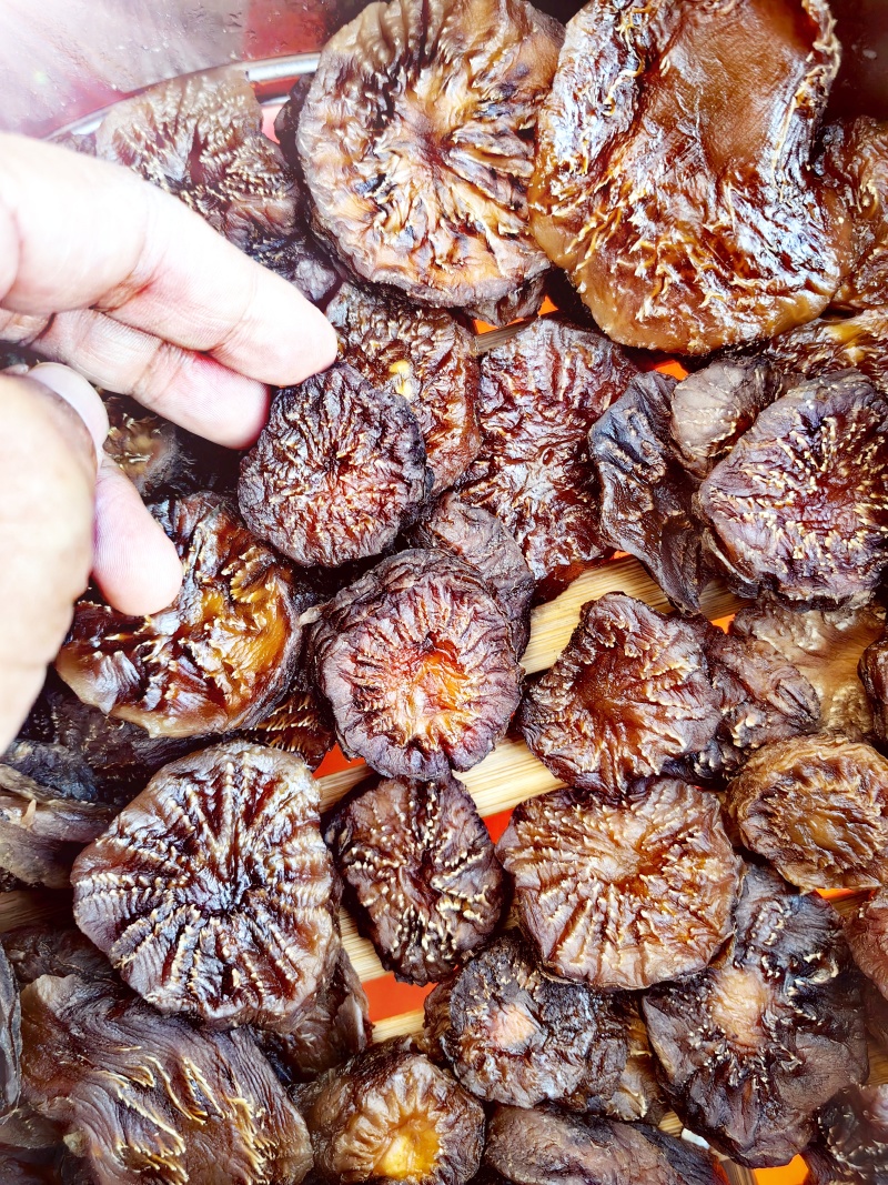 精选荒漠肉苁蓉，原厂直发，长期供货，全国包邮。价格实惠