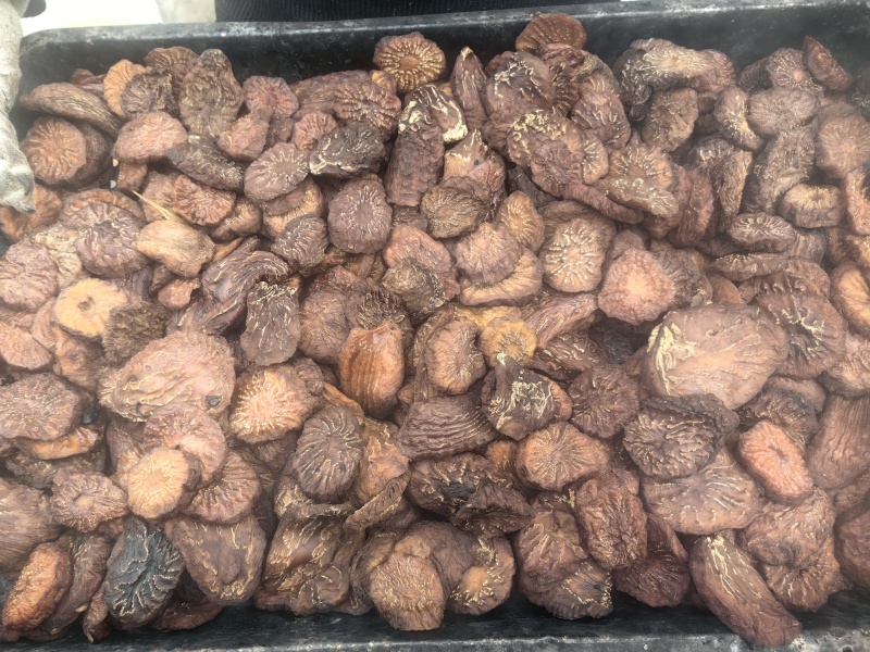精选荒漠肉苁蓉，原厂直发，长期供货，全国包邮。价格实惠