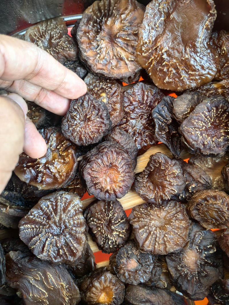 精选荒漠肉苁蓉，原厂直发，长期供货，全国包邮。价格实惠