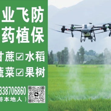 大疆无人机植保打药。莆田市仙游县（仙游本地人）