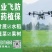 大疆无人机植保打药。莆田市仙游县（仙游本地人）