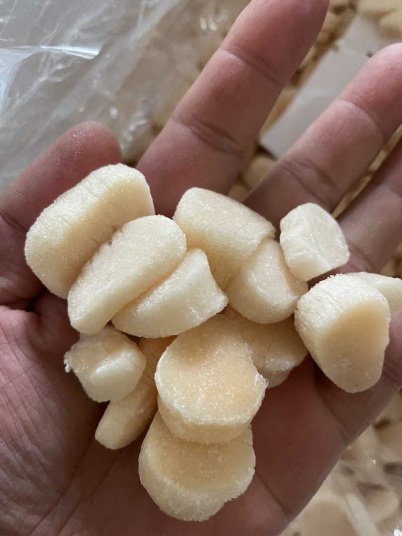 马贝柱、贝柱