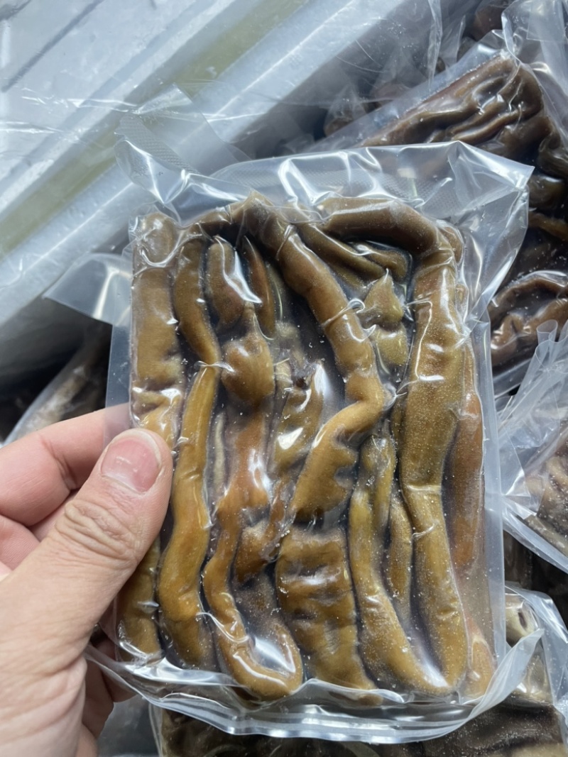 海肠、氧化肠