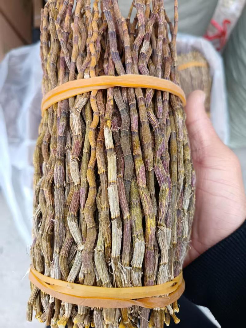2025新货浙江铁皮石斛打粉条寸金条捆条芽条红杆软脚切片
